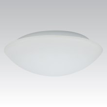 Buiten wandlamp KAROLINA 2xE27/60W opaalglas IP44