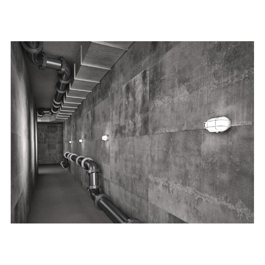 Buiten wandlamp OVAL 1xE27/60W/230V wit IP44