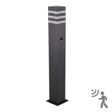 Buitenlamp met sensor TEKSAS 1xE27/12W/230V IP44 74 cm antraciet