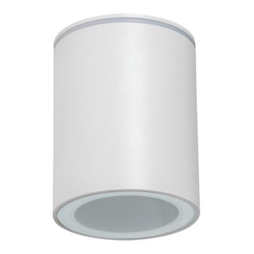 Buitenspot AQILO 1xGU10/7W/230V IP65 wit