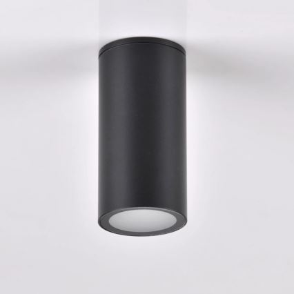Buitenspot ATLANTA 1xGU10/10W/230V IP54 zwart