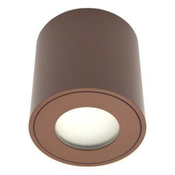 Buitenspot FARA 1xGU10/30W/230V IP54 bruin