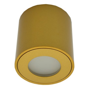 Buitenspot FARA 1xGU10/30W/230V IP54 goudkleurig