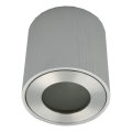 Buitenspot FARA 1xGU10/30W/230V IP54 zilverkleurig