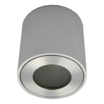 Buitenspot FARA 1xGU10/30W/230V IP54 zilverkleurig