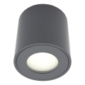 Buitenspot FARA 1xGU10/30W/230V IP54 zwart