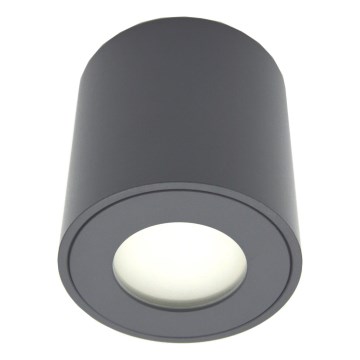 Buitenspot FARA 1xGU10/30W/230V IP54 zwart