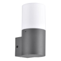 Buitenwandlamp DALLAS 1xE27/12W/230V IP44 antraciet