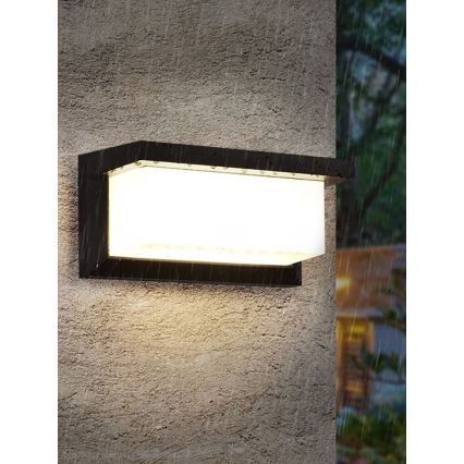 Buitenwandlamp NEELY LED/12W/230V IP54 zwart