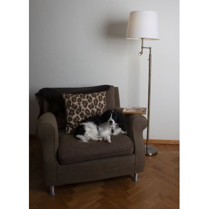 ByRydens - Staande LED Lamp ORLANDO 1xE27/5W/230V + LED/3W wit/brons diameter 36 cm