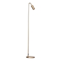 ByRydens - Vloerlamp CURVE 1xGU10/7W/230V goudkleurig