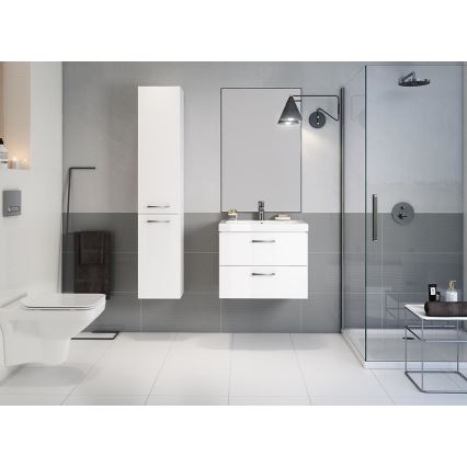 Cersanit S801-147-DSM - Hangende badkamerskast met wastafel ELODY 46x60 cm wit