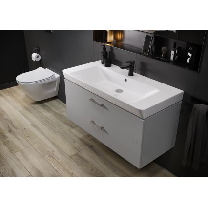 Cersanit S801-338-DSM - Hangende badkamerskast met wastafel ELODY 46x80 cm wit