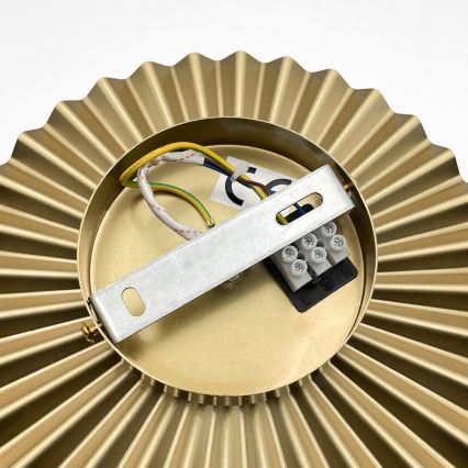 CHITA wandlamp 1xG9/5W/230V goud