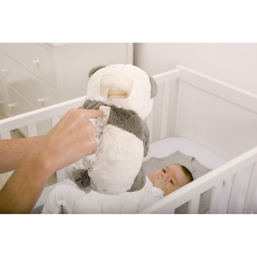 Cloud B - Lekker knuffelen met een melodietje 2xAA panda