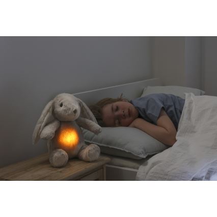 Cloud B - Lekker knuffelen met een melodietje en lichtje konijntje + USB