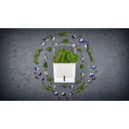 Cole&Mason - Container voor het bewaren van vers gesneden kruiden