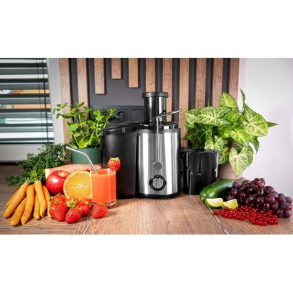 Concept LO7095 - Centrifugaal sapcentrifuge 1000W/230V zwart/roestvrij staal