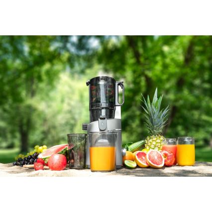 Concept LO7120 - Langzame sapcentrifuge JUICY 250W/230V grijs