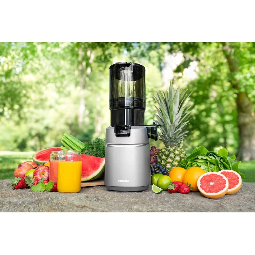 Concept LO7120 - Langzame sapcentrifuge JUICY 250W/230V grijs