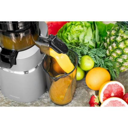 Concept LO7120 - Langzame sapcentrifuge JUICY 250W/230V grijs