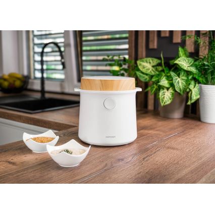 Concept RE3030 - Digitale rijstkoker 2-in-1 380W/230V 1,5 l wit/houtdecor