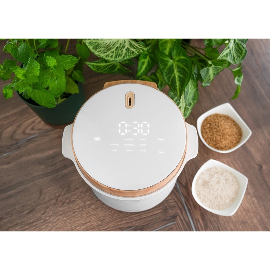 Concept RE3030 - Digitale rijstkoker 2-in-1 380W/230V 1,5 l wit/houtdecor