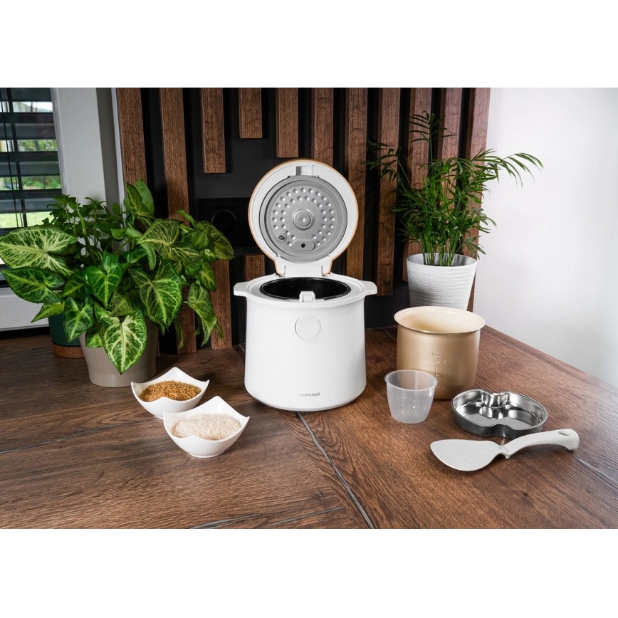 Concept RE3030 - Digitale rijstkoker 2-in-1 380W/230V 1,5 l wit/houtdecor