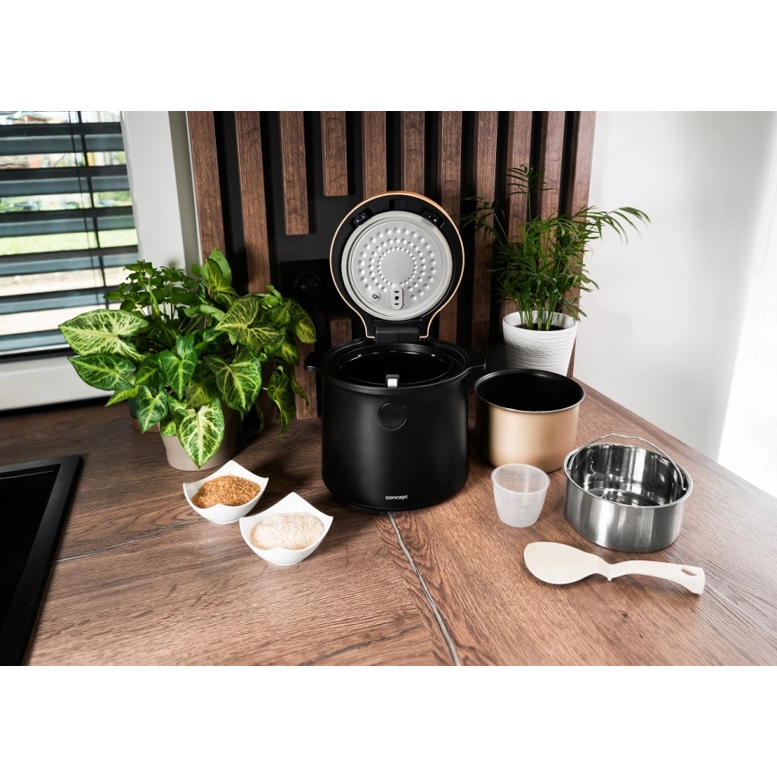 Concept RE4040 - Digitale rijstkoker 2-in-1 450W/230V 2 l zwart/houtdecor
