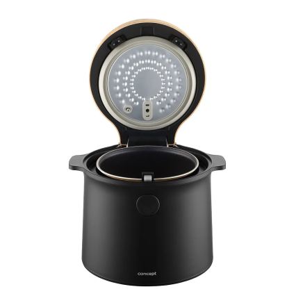 Concept RE4040 - Digitale rijstkoker 2-in-1 450W/230V 2 l zwart/houtdecor