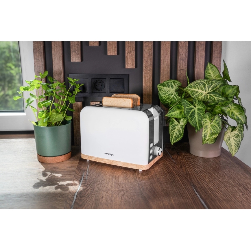 Concept TE2015 - Broodrooster met twee sleuven 930W/230V wit