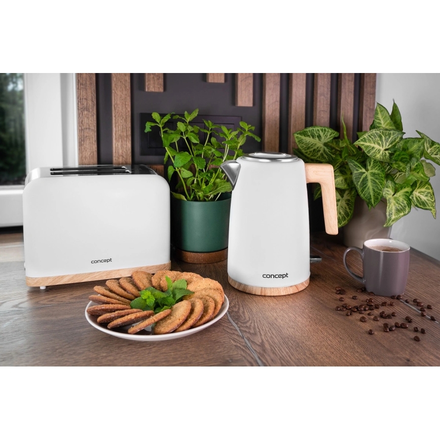 Concept TE2015 - Broodrooster met twee sleuven 930W/230V wit