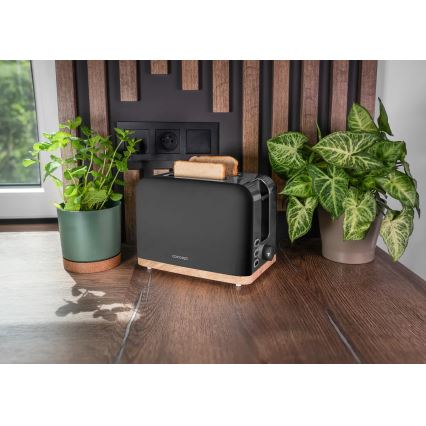 Concept TE2016 - Broodrooster met twee sleuven en opwarmrek 930W/230V zwart