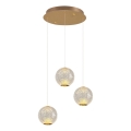CREMONA LED Pendant Light 3xLED/5W/230V 3000K Goud