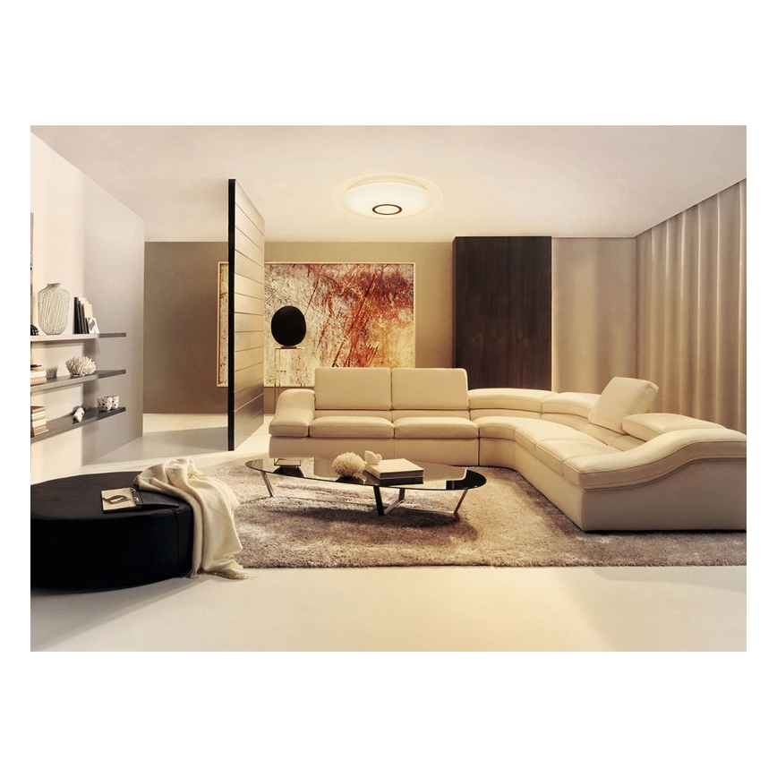 Dalen DL-C219TX - LED Plafondlamp dimbaar SMART LED/25W/230V