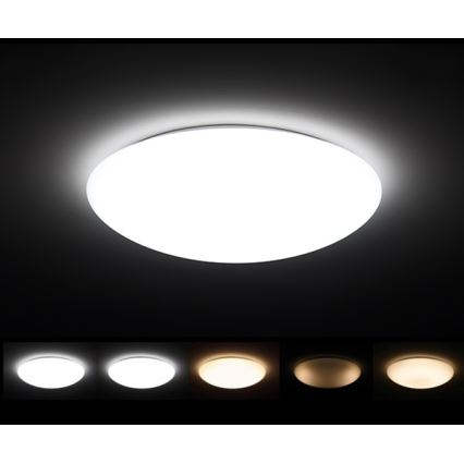 Dalen DL-C408T - LED Plafondlamp dimbaar CLASSIC LED/56W/230V