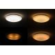 Dalen DL-C415TXW - LED Plafondlamp dimbaar STAR SKY LED/38W/230V
