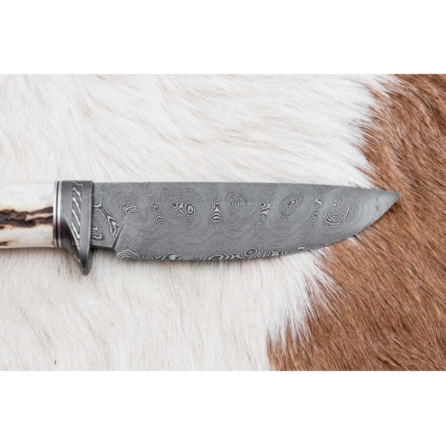 Damascus jachtmes 11,8 cm walnoot/herten gewei