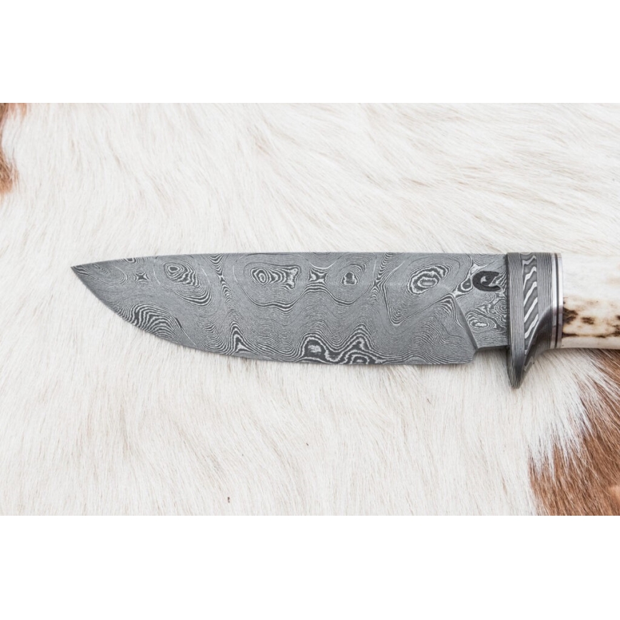 Damascus jachtmes 11,8 cm walnoot/herten gewei