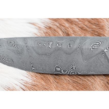 Damascus jachtmes 11,8 cm walnoot/herten gewei