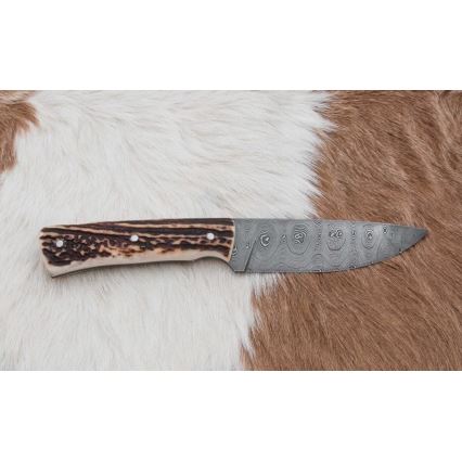 Damascus jachtmes 11 cm herten gewei