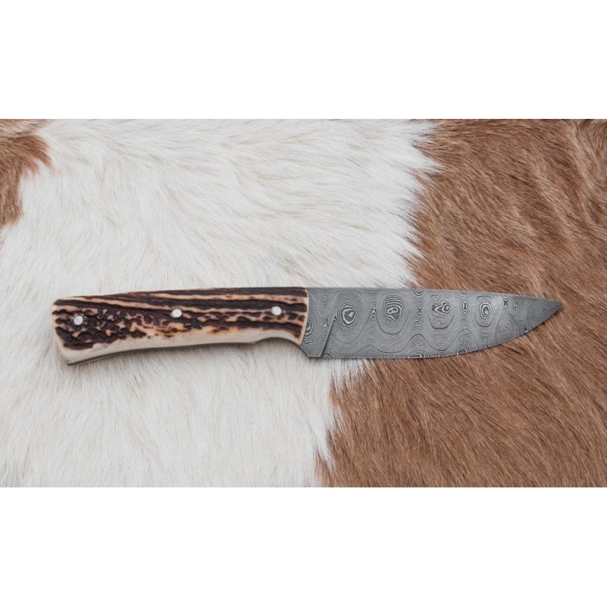 Damascus jachtmes 11 cm herten gewei