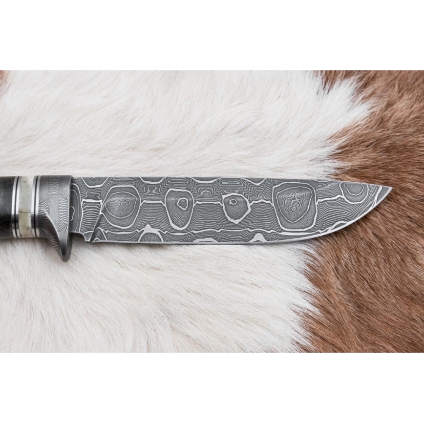 Damascus jachtmes 13,8 cm Berk/kameel been