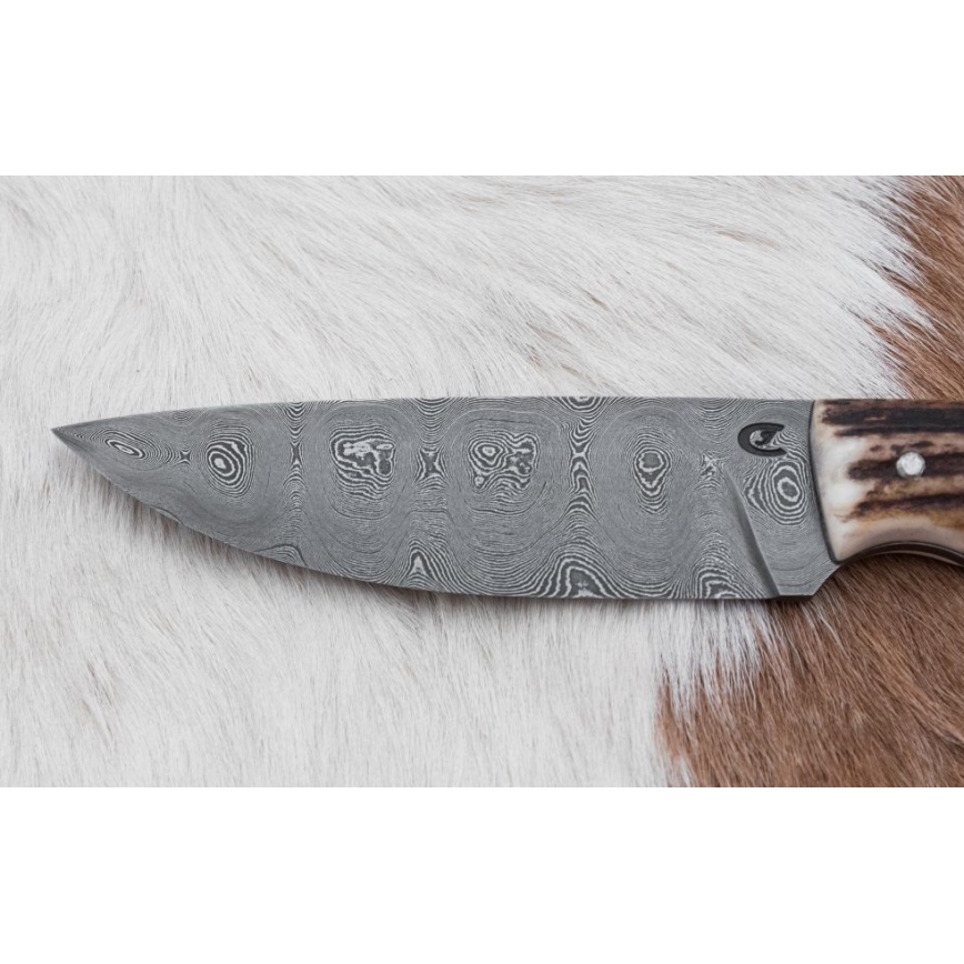 Damascus jachtmes met minizaag 11 cm herten gewei