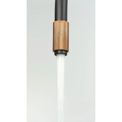 Deante BCA_B64M - Keukenkraan ASTER, zwart/messing