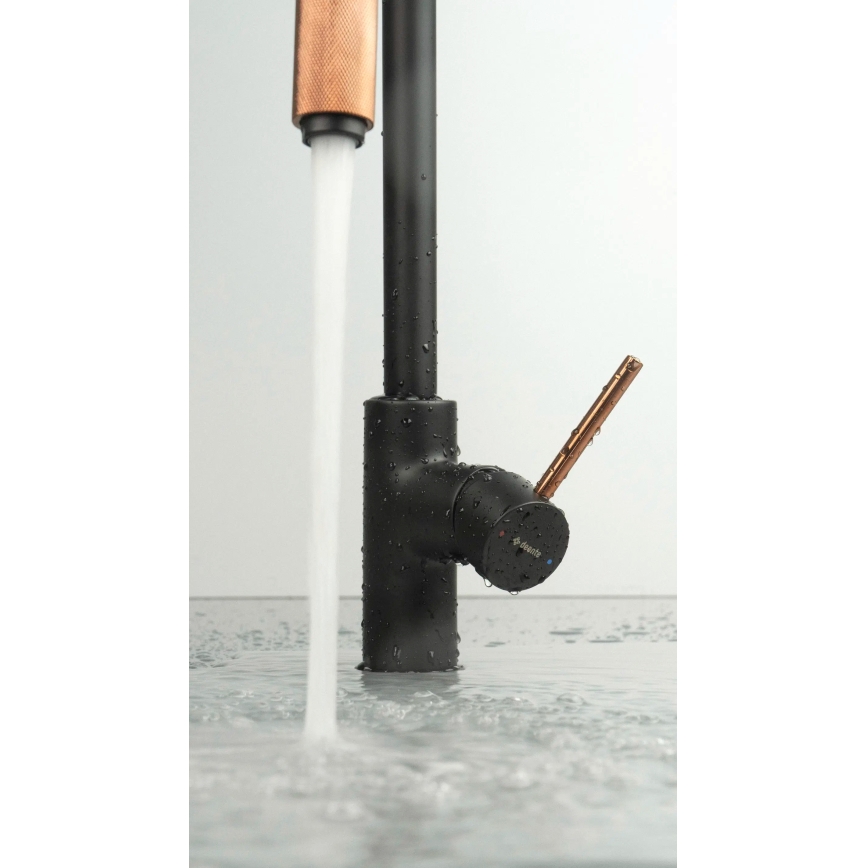 Deante BCA_B64M - Keukenkraan ASTER, zwart/messing