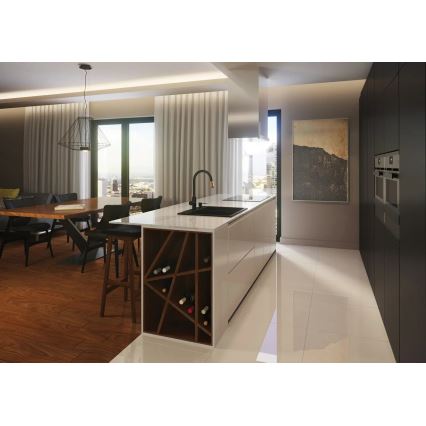 Deante BCA_B64M - Keukenkraan ASTER, zwart/messing