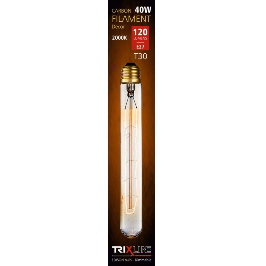 Decoratieve Dimbare Industrie Lamp VINTAGE T30 E27/40W/230V
