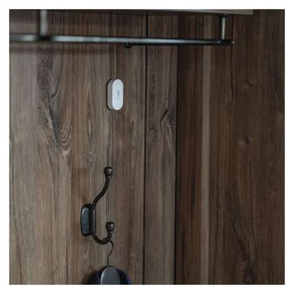 Digitale draadloze thermometer GoSmart 1×CR2032