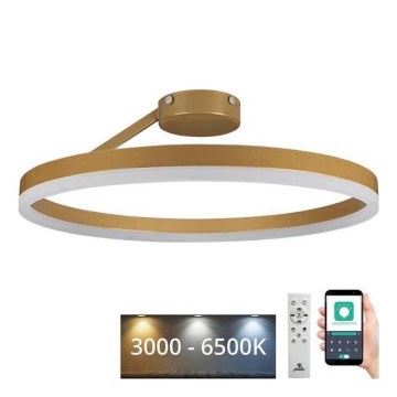 Dimbare LED bevestigde hanglamp LED/40W/230V 3000-6500K goud + afstandsbediening